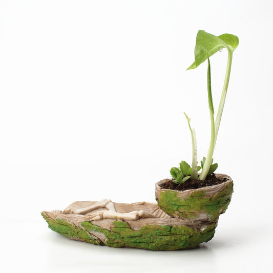 Creative small bone tabletop style potted plant ornament